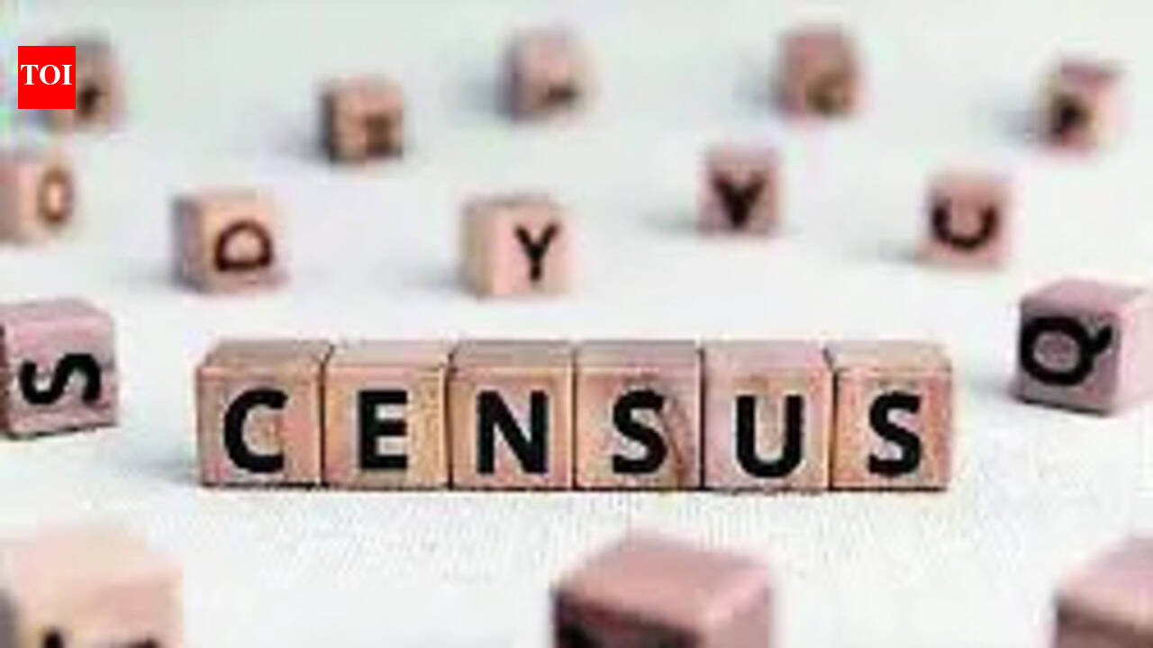 Over 61,000 register for digital self-enumeration in CG as Census 2027 drive picks up pace
