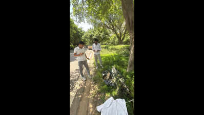 Peacock hit by car dies near condo, FIR against driver