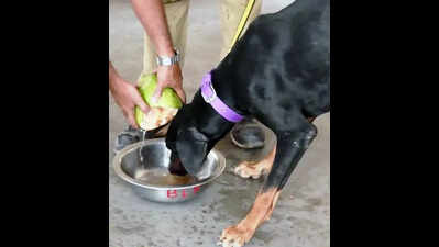 Two months of drinking water stress likely in Karnataka: Minister