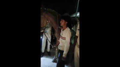 Bootlegger uses horse to enter state from UP, held