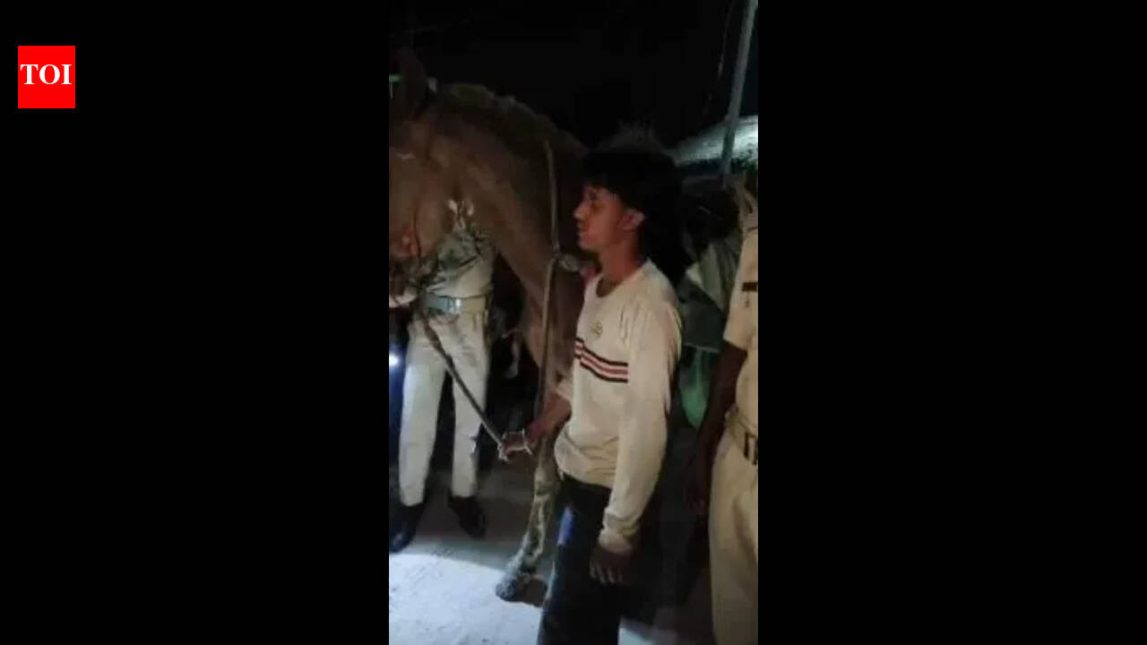 Bootlegger uses horse to enter state from UP, held