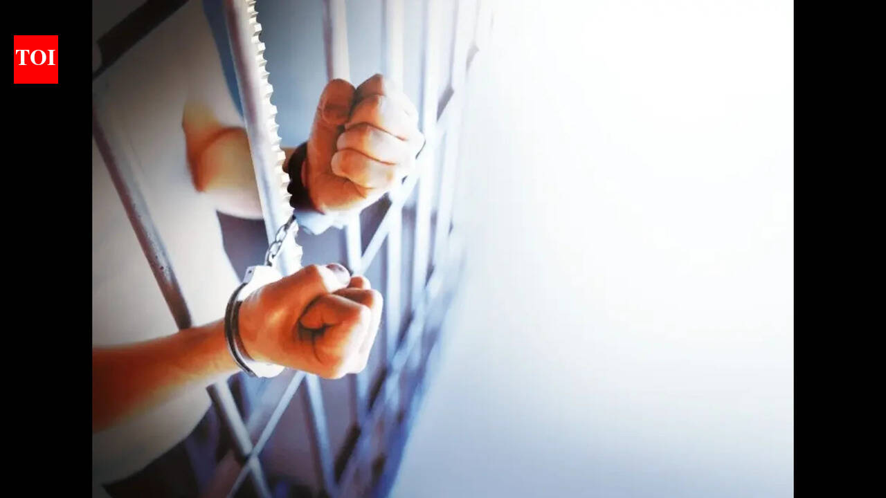 Burglar held before completing house built with stolen money