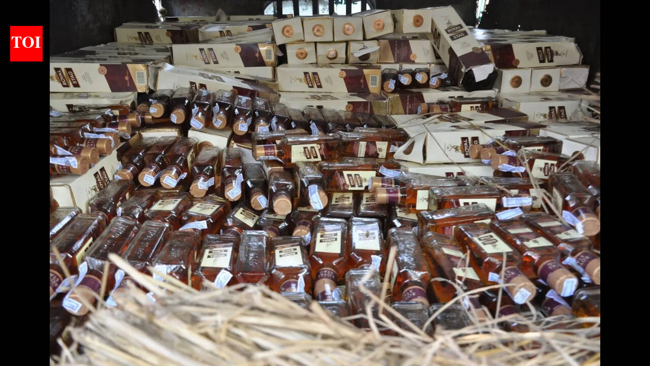 From borders to drones, Bihar ramps up anti-liquor crackdown