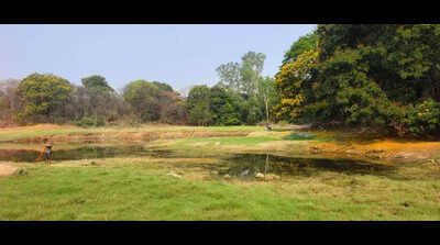 OU removes 300 kg of plastic waste from campus lakebed