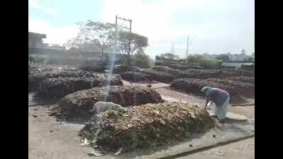GCC plans windrow composting plant at Perungudi, two facilities at Manali