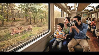 Soon, immersive safari on train in lions’ royal abode