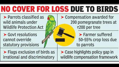 Farmers eligible for govt compensationfor crop damage by wild birds, rules HC