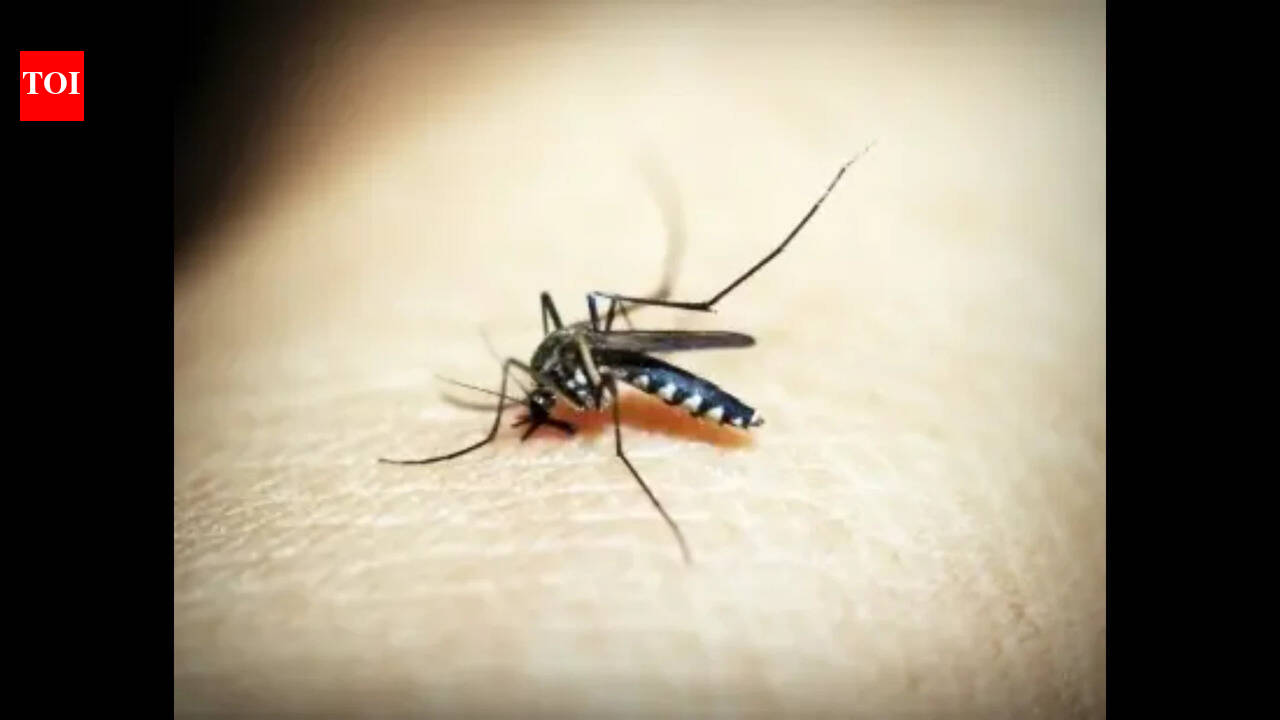 Surveillance intensifies amid malaria infections at Aldona