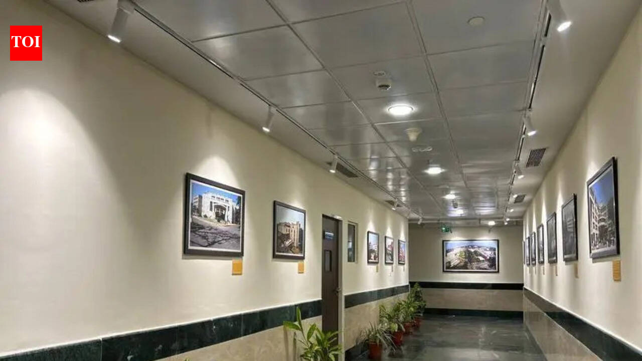 PGI medical museum to open window to past | Chandigarh News – The Times of India