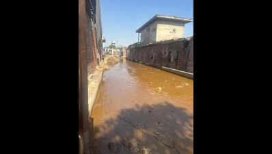 CM orders crackdown on dairies amid dung crisis