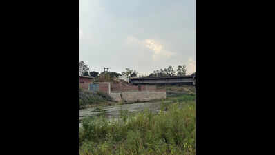 Choked tributaries are making Gomti gasp for life