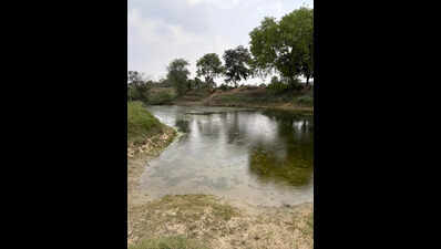 Choked tributaries are making Gomti gasp for life