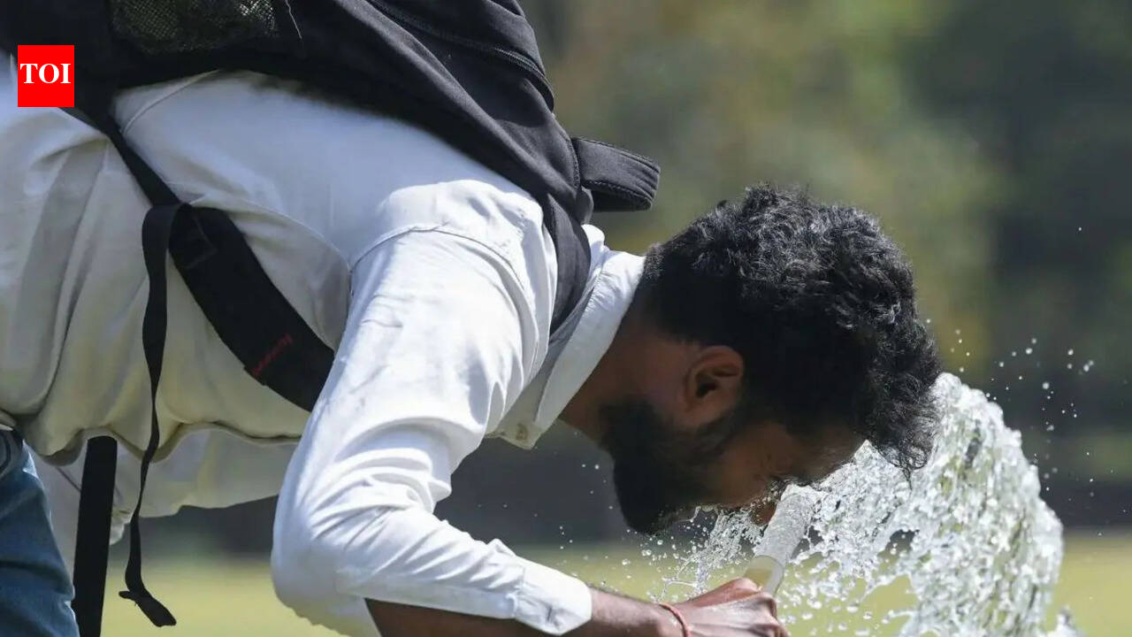 'Stay indoors': IMD's dos &amp; don'ts to beat the heat