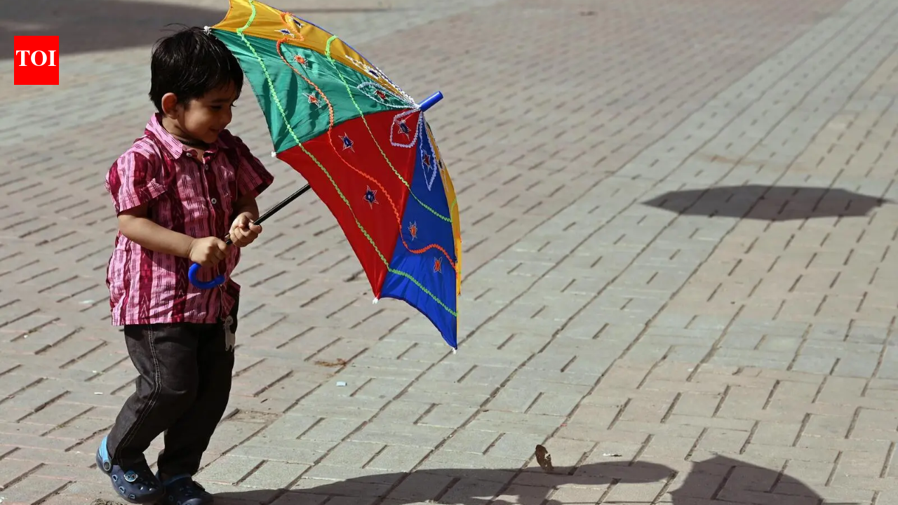 Delhi sizzles as mercury hits 42.8°C, hottest April day in 4 years