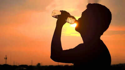 Heatwave alert: Signs of heat stress and how to stay safe