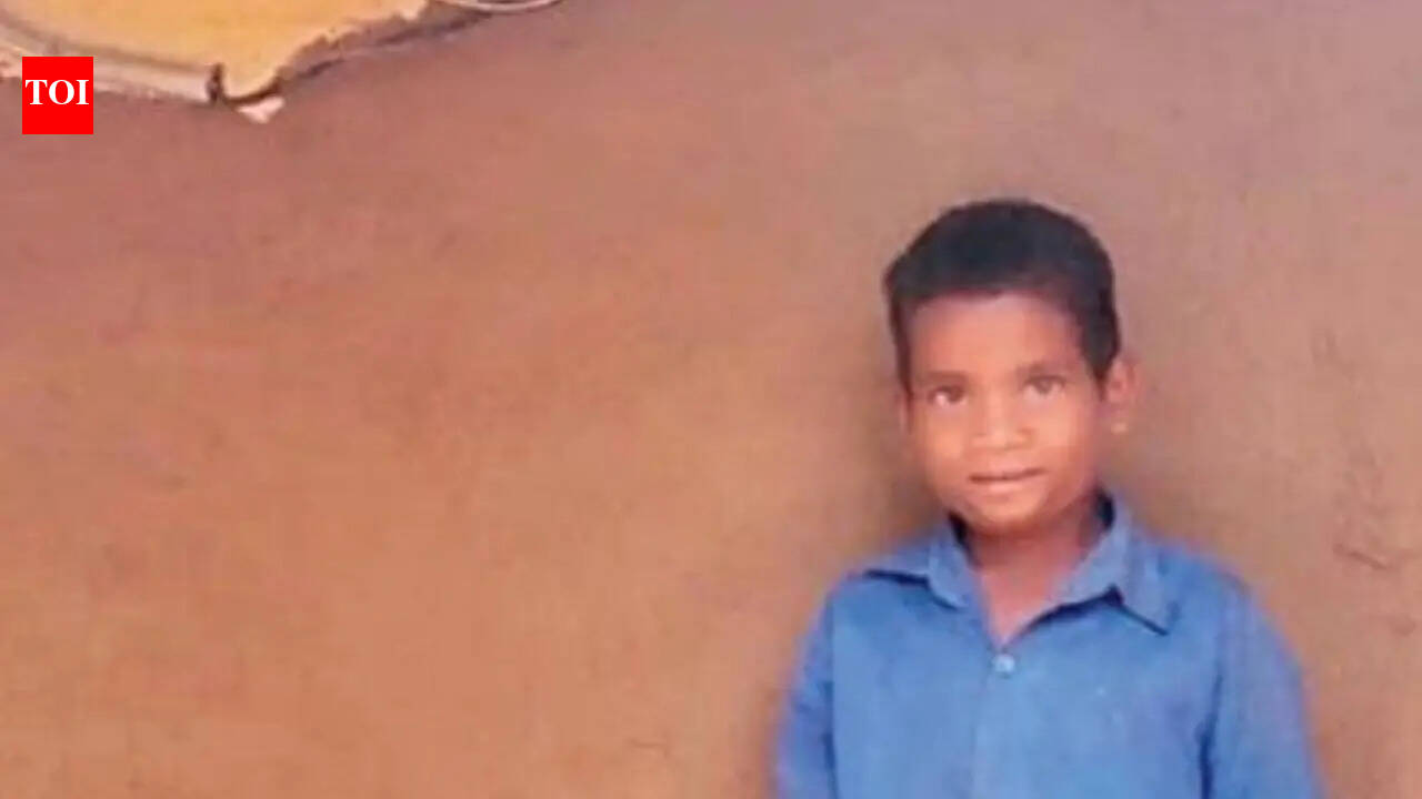 Chhattisgarh village stays awake to see first light bulb glow after decades of isolation