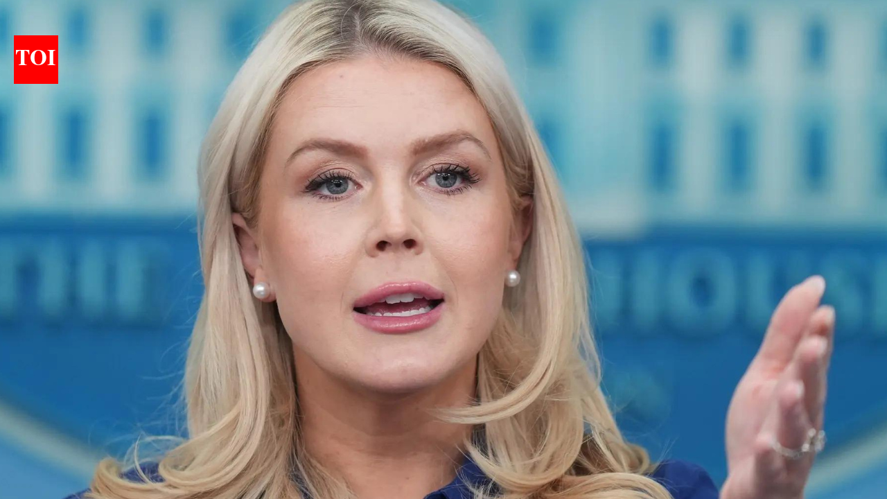 'Shots will be fired': Karoline Leavitt’s pre-dinner comments go viral after White House shooting