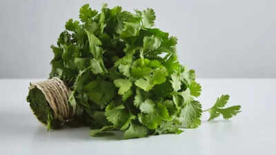 6 simple ways to keep coriander leaves fresh for a week