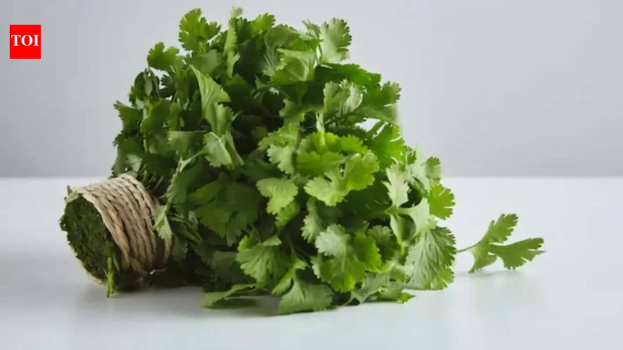 6 simple ways to keep coriander leaves fresh for a week