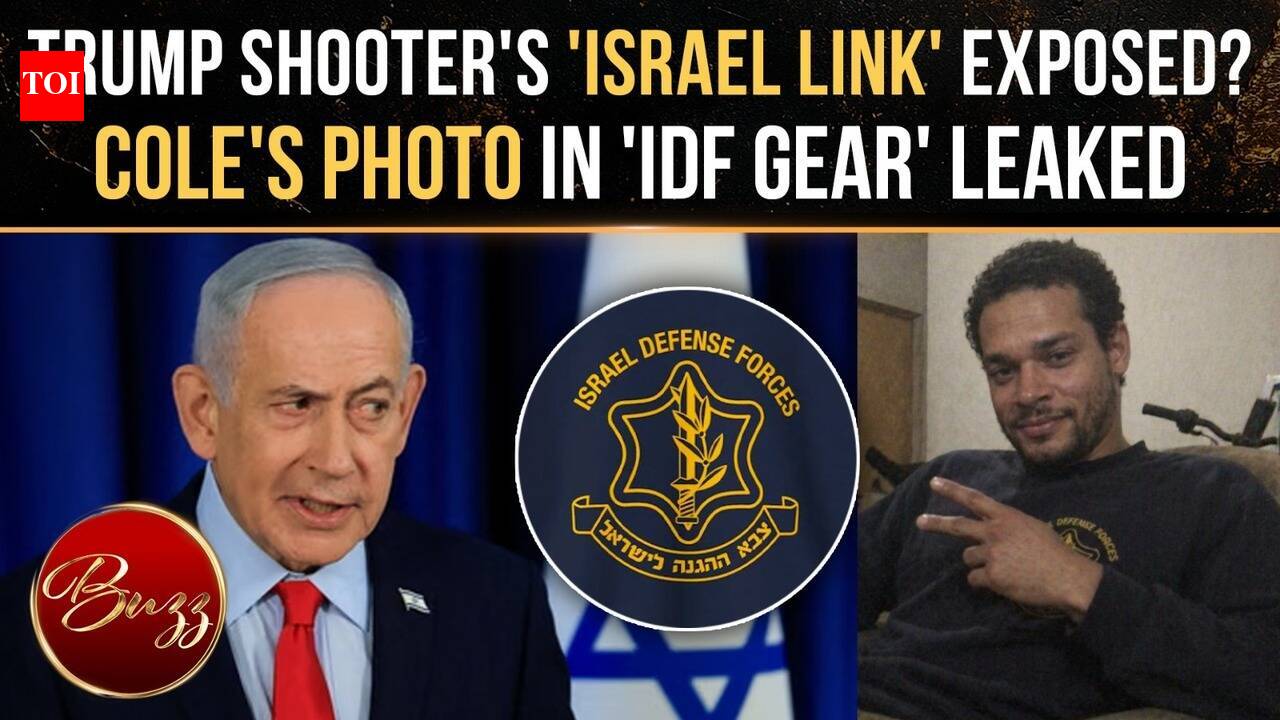 timesofindia.indiatimes.com