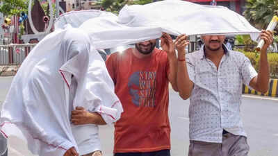 Heat wave alert: IMD warns 3 more days of 40°C+ temperatures in Delhi, UP, Rajasthan