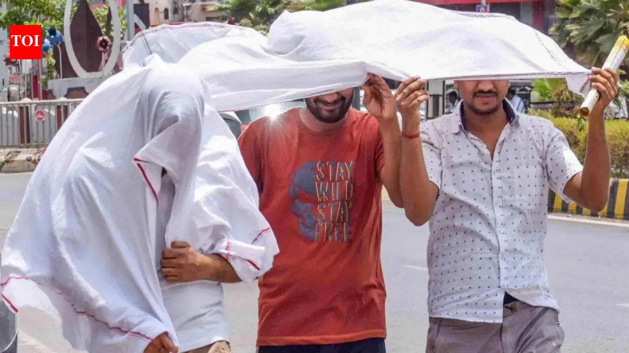Heat wave alert: IMD warns 3 more days of 40°C+ temperatures in Delhi, UP, Rajasthan