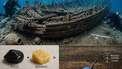 2,200-year-old Roman shipwreck reveals the secret formula that kept ancient ships afloat