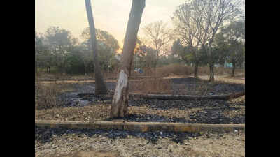 Toxic trail on Bengaluru’s edge as resident allege late-night waste burning