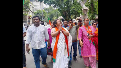 In safe Ballygunge seat, TMC battles SIR axe