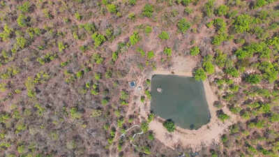 Fire, water watchers help USTR curb human–wildlife conflict