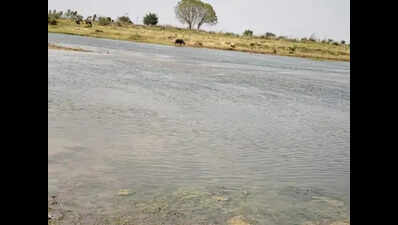 3 children drown in Parvati river in Dholpur