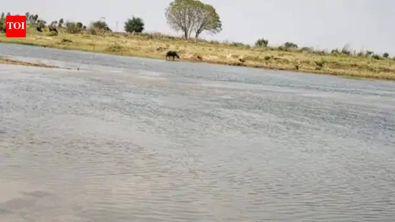 3 children drown in Parvati river in Dholpur