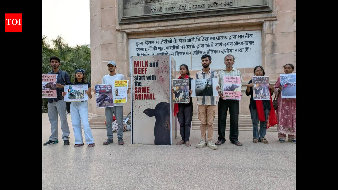 Activists raise alarm over dairy sector’s hidden climate impact