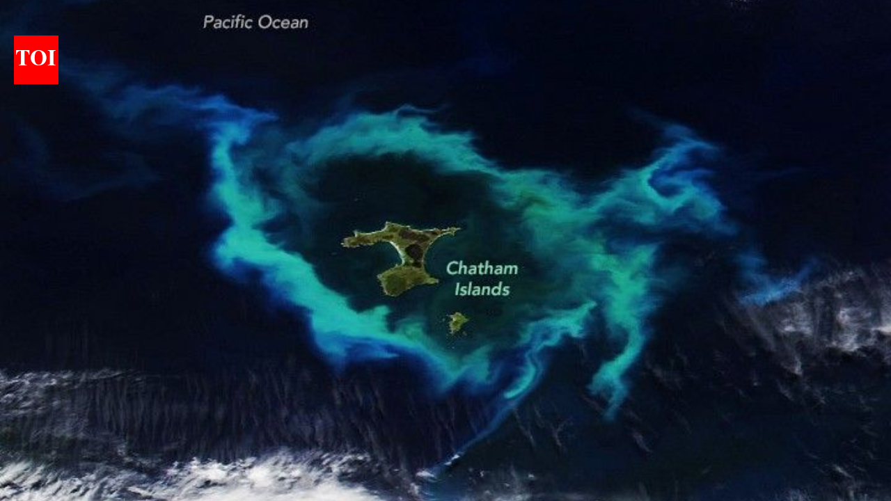 NASA satellite spots gleaming halo around New Zealand’s Chatham Islands