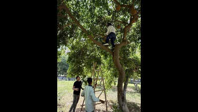 Residents step up with water stations, sparrow nests amid soaring heat