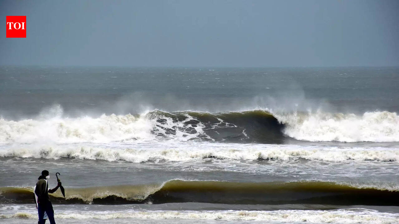 Coastal Odisha cities boiling: Urban sprawl devours greenery, scientists say