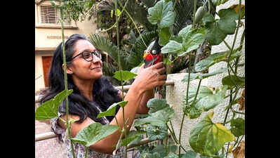 Windowsill to farm: City resident’s growing journey is a green signal