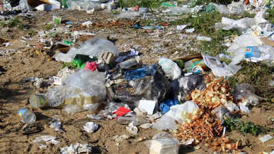 Tivim locals urge panchayat to act on highway littering