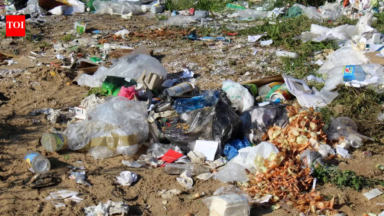 Tivim locals urge panchayat to act on highway littering