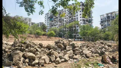Miyawaki forest planned in NIBM Road area to boost urban biodiversity