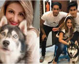 Urvashi Dholakia bids an emotional goodbye to her pet dog Jaeger, says &ldquo;You were our comfort&rdquo;