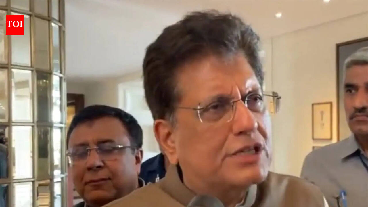 ‘Trade deal to provide huge opportunities’: Piyush Goyal ahead of India-New Zealand FTA signing – The Times of India