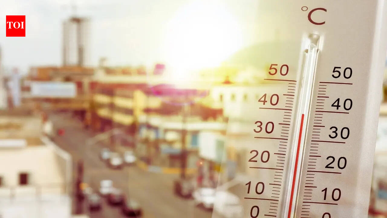 IMD forecasts severe heatwave, thunderstorms and heavy rainfall across India: Know which states are affected