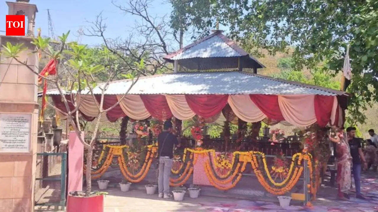 Uttarakhand minister son's wedding at temple in Rajaji Tiger Reserve core area sparks row