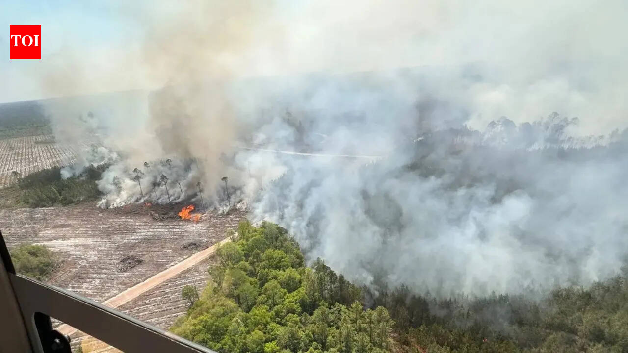 Emergency Evacuations Loom as Georgia Wildfire Expands Beyond 80 Square Kilometers | World News - The Times of India