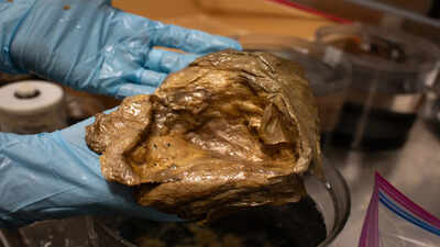 In 2023, deep-sea explorers chasing a golden glimmer on the seafloor found a biological treasure hidden two miles down