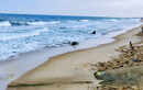 Chennai Coast, Tamil Nadu