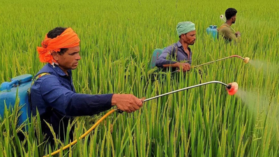 64 LT urea, 19 LT other fertilisers: India boosts import plans as global prices double amid Middle East crisis