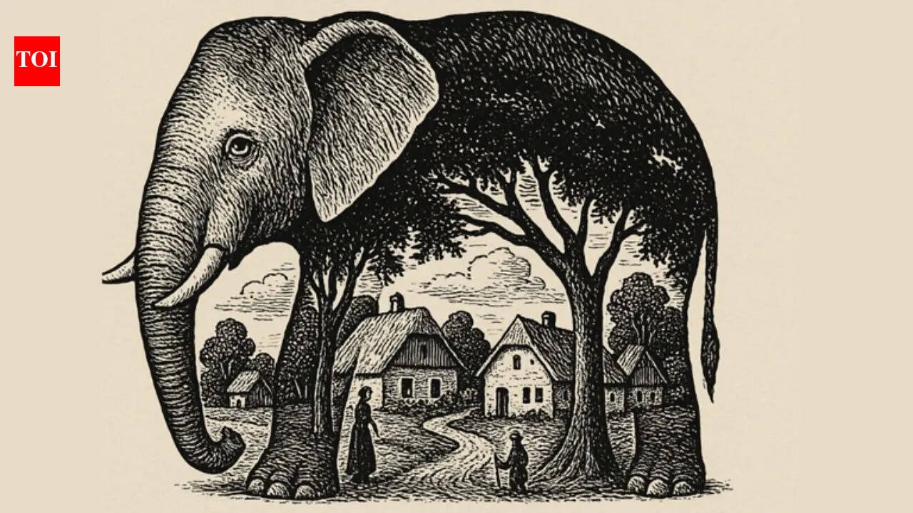 Optical illusion personality test: What you see first reveals the hidden side of your personality