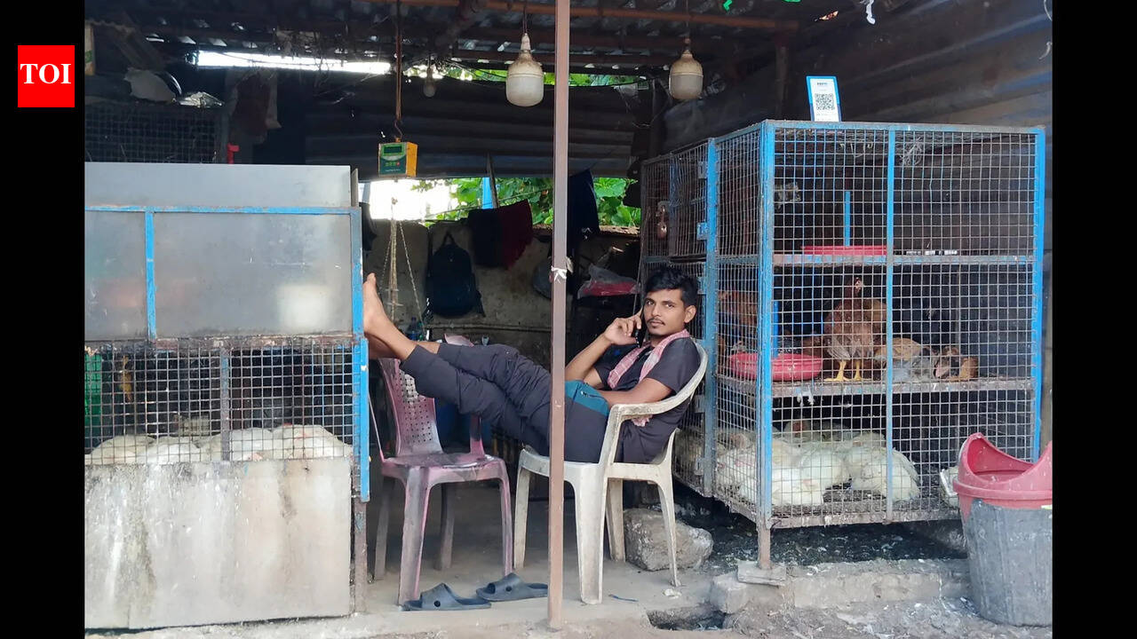 Bird flu outbreak confirmed in Bhagalpur poultry farm, containment steps begin